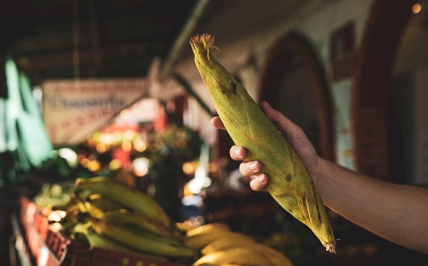 不止菜市場(chǎng)、餐廳！農(nóng)殘速測(cè)儀的作用及應(yīng)用領(lǐng)域